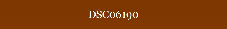 DSC06190